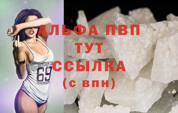 сатива Краснослободск