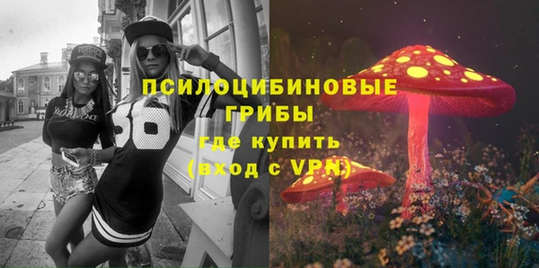 mdma Богородицк