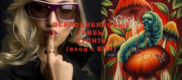 стаф Костерёво