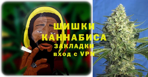 сатива Краснослободск