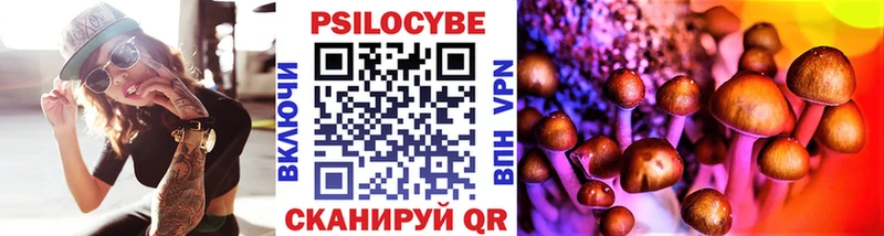 Галлюциногенные грибы Cubensis  ОМГ ОМГ онион  Невельск 